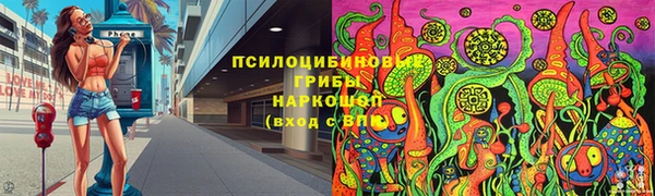 индика Богданович